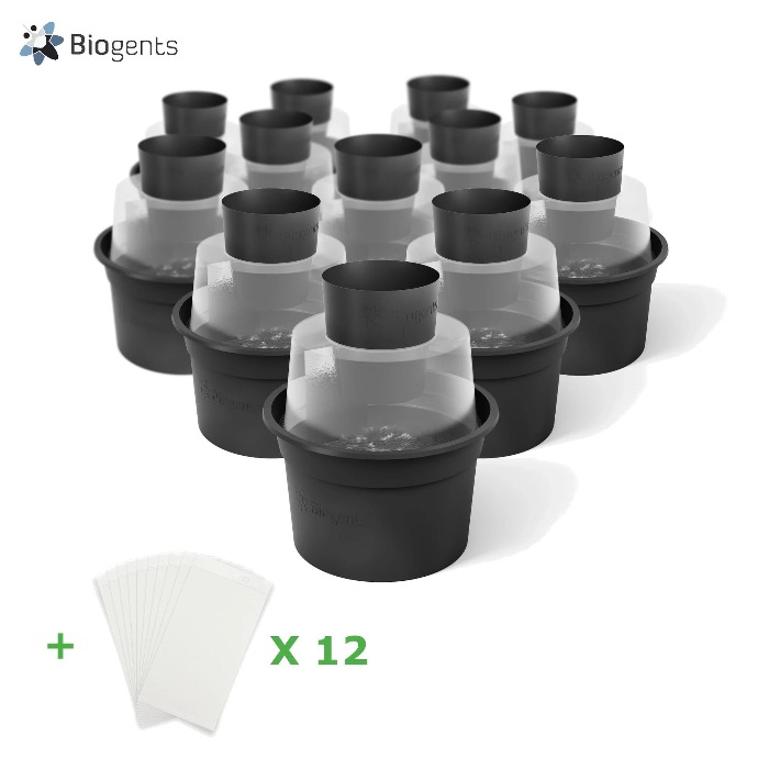 Lot 12 pièges BG-Gat + Recharges de cartes collantes!